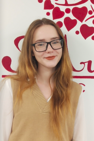 vlada